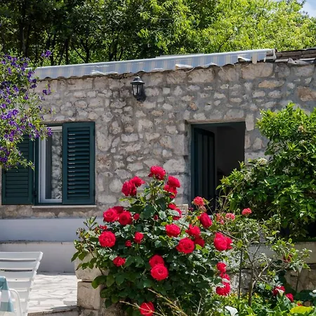 Villa Doris Zaton  Exterior photo