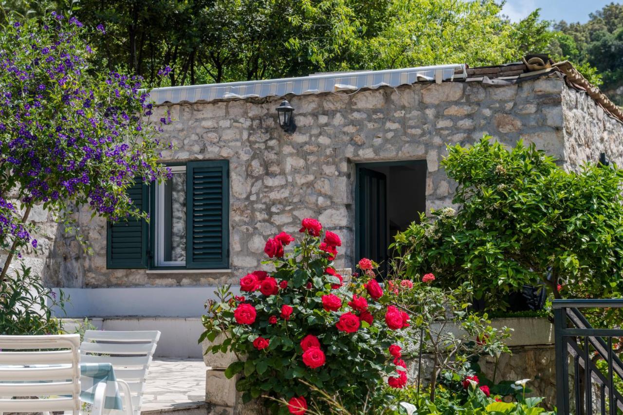 Doris * Zaton (Dubrovnik-Neretva)